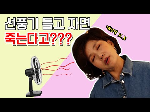 선풍기 틀고 자면 죽는다고? 선풍기 괴담 확실하게 정리해드립니다!