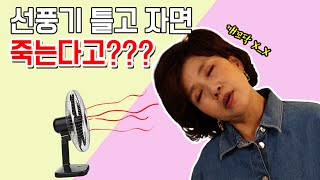 선풍기 틀고 자면 죽는다고? 선풍기 괴담 확실하게 정리해드립니다!