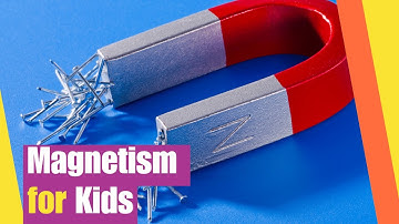 Magnetism for Kids | Learn All About Magnets | Science Lesson for Kids