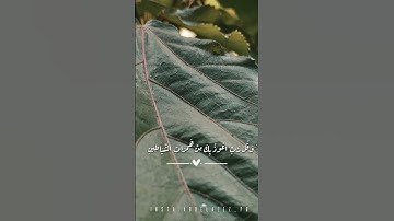 وَقُل رَّبِّ أَعُوذُ بِكَ مِنْ هَمَزَاتِ الشَّيَاطِينِ (97) سوره المؤمنون💖🧸 #قران_كريم #اكسبلور