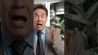 African sorcerer gains millions with magic