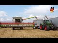 Claas Lexion 770 Terra Trac - Vario 1050 | Fendt 939 S4 | Güstrower GTU25 | Deutschland Tour 2019