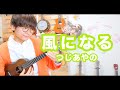 風になる - つじあやの / ソロウクレレ
