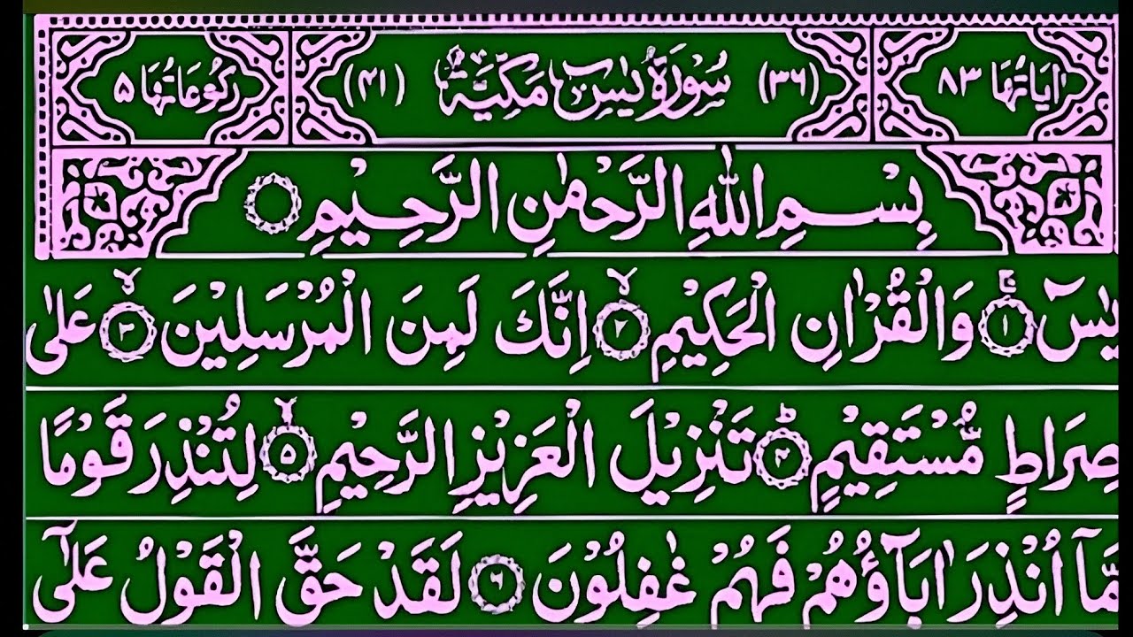 Surah Yasin Surah Rahman | Beautiful Recitation Surah Yaseen Surah Rahman Full | Quran Tilawat | 184