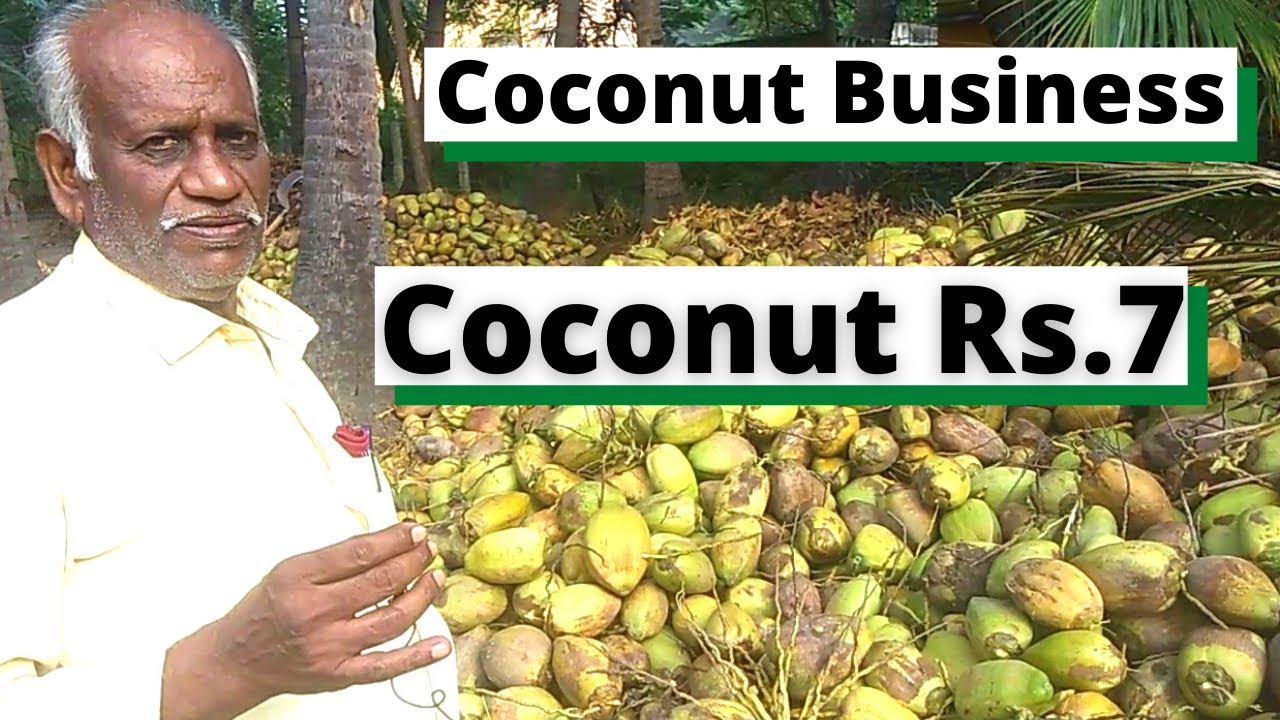 coconut wholesale business plan in india