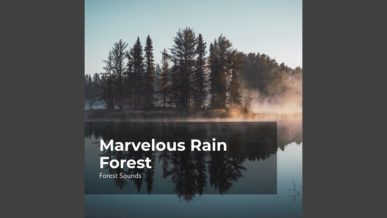 Mellow River Splashes