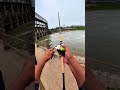 Lure fishing catches a giant fish