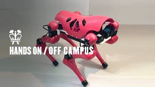 ROBOTICS STUDIO and BEYOND: Pink Panther