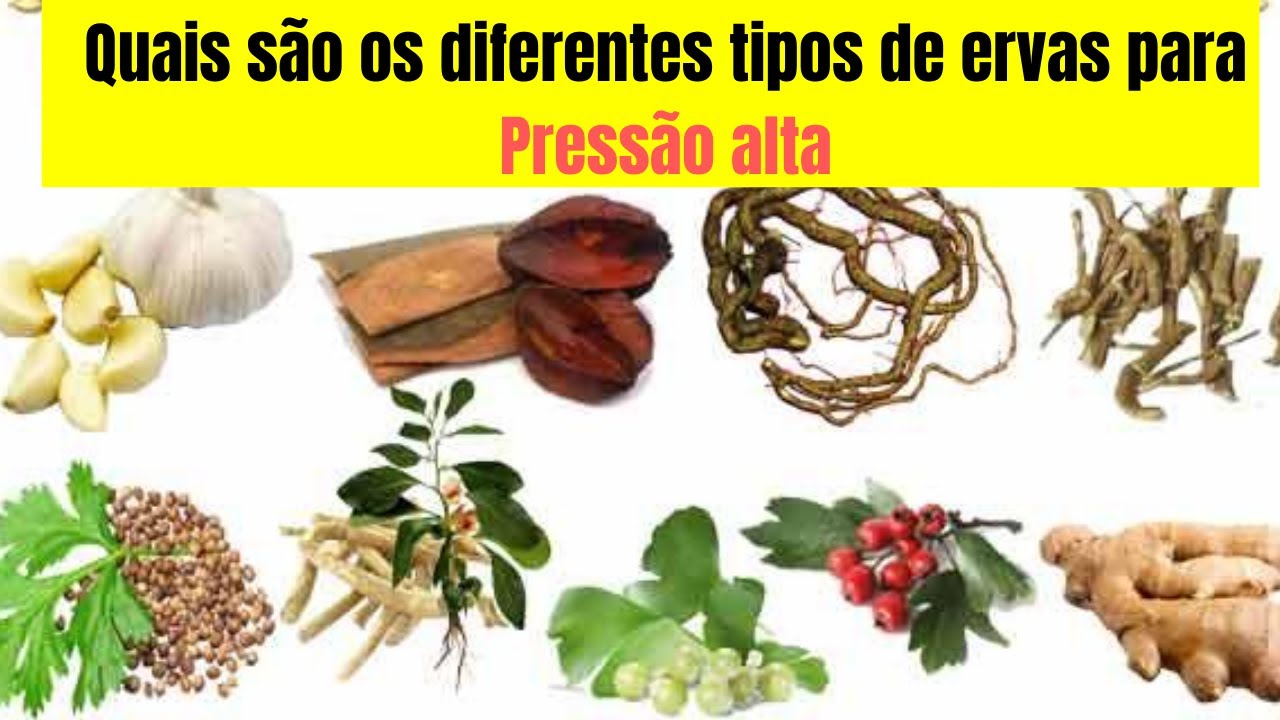 Quais são os diferentes tipos de ervas para pressão alta - YouTube