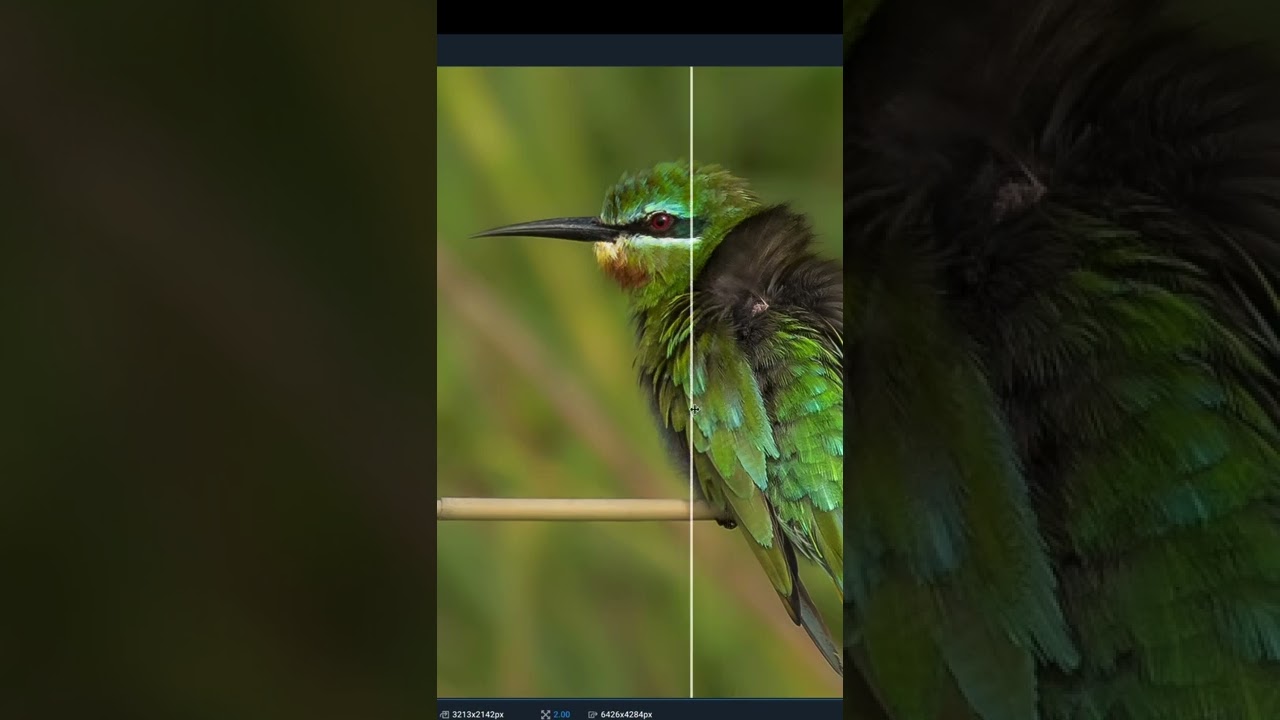 Topaz Gigapixel Ai demo with Janine.
