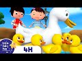 Five Little Ducks and Duckies | FOUR HOURS of Little Baby Bum Nursery Rhymes and Songs