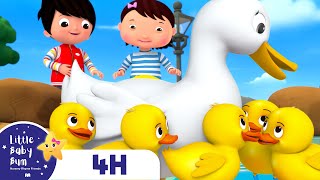 Five Little Ducks and Duckies | FOUR HOURS of Little Baby Bum Nursery Rhymes and Songs
