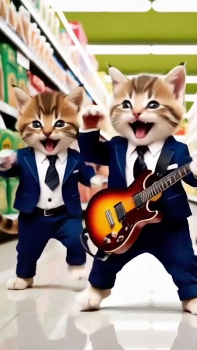 The cat sings, Abang the meatball maker