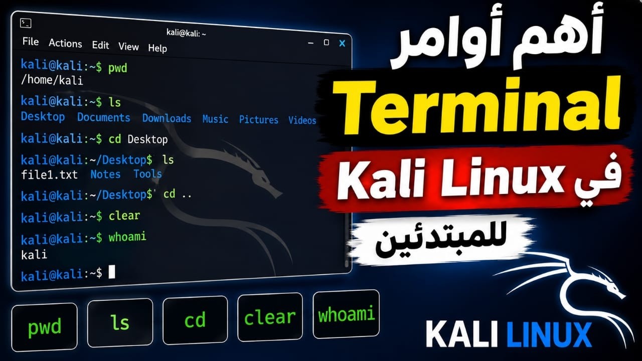 terminal-kali-linux-5