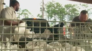 Tropical Storm Gordon: Low-lying areas of the North Shore, St. Tammany Parish and Slidell should be
