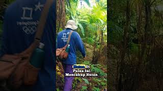 Hutan Sulawesi sebagai salah satu pusat biodiversitas penting di Indonesia