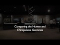 Richard Dawkins: Comparing the Human and Chimpanzee Genomes - Nebraska Vignettes #3
