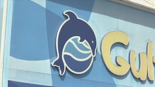 USDA latest report on Gulf World Marine Park after dolphin death