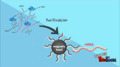 General method in RNA sequencing