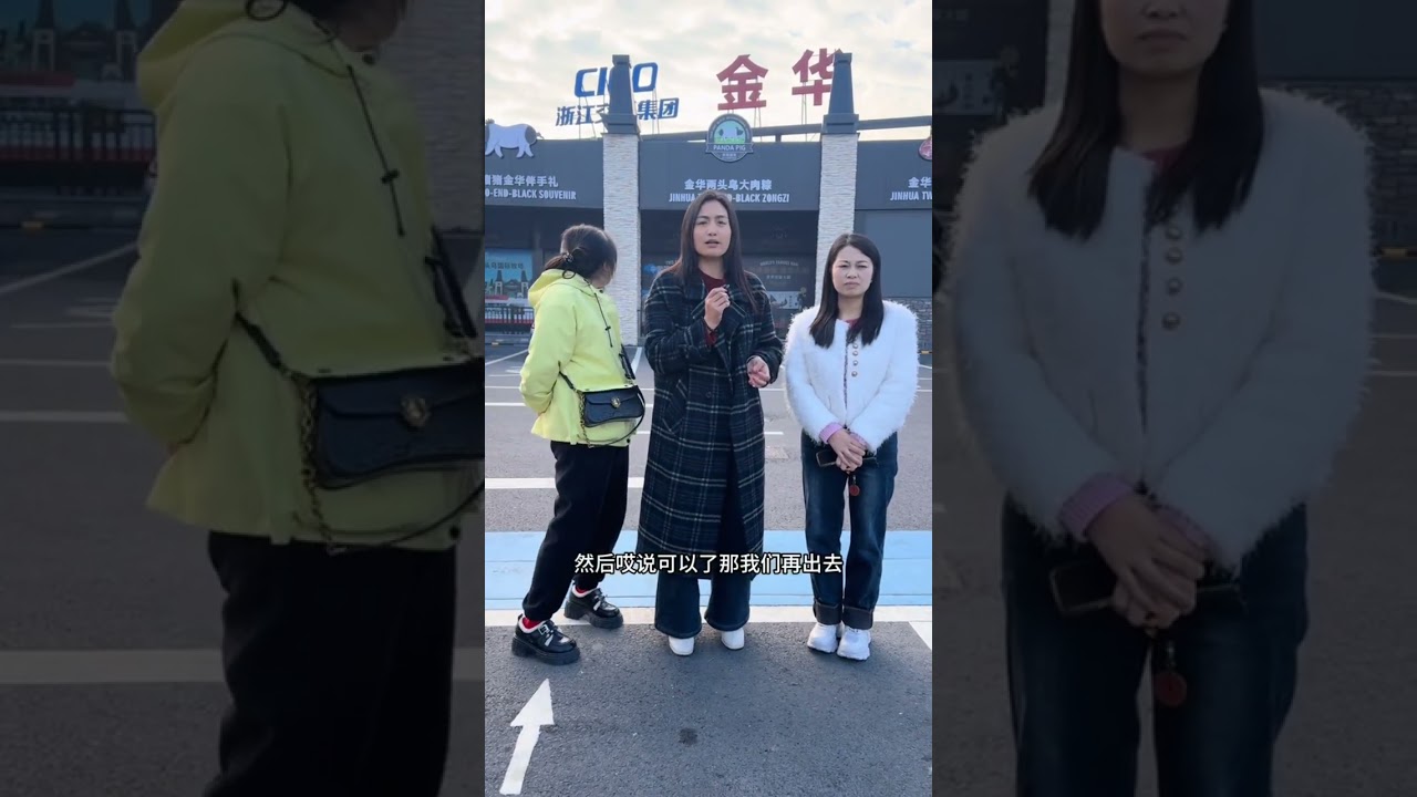 带一枝梅、凤凤勇闯浙江！大家怎么看？#vlog日常 #加油搬砖人 #原创视频 #正能量 #勇闯