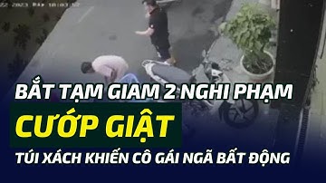 Bắt tạm giam 2 nghi phạm cướp giật túi xách khiến cô gái ngã bất động