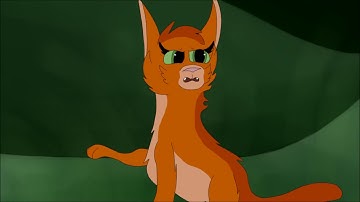 Squirrelpaw Map Part 4