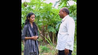Cow Based Natural Farming (Cbnf) Practiced At Girveda
