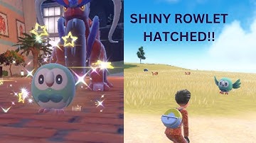 Hatched SHINY Rowlet !! | Pokemon Scarlet and Violet