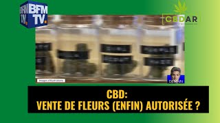 CBD: Vente de fleurs (enfin) autorisée ?