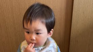 1歳7ヶ月boyのお昼ご飯の様子をライブ配信❣ありがとうございました