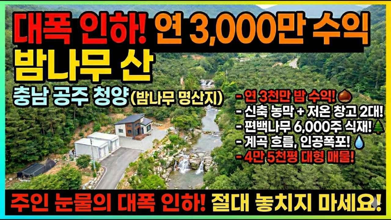 다 놓고 갑니다 