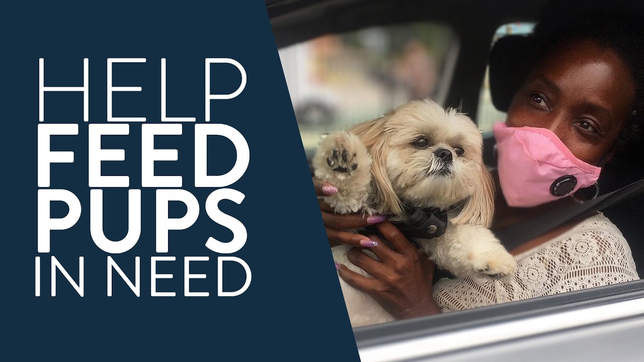 Support Pet Food Pantries with Rescue Roast