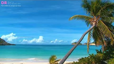 Tropical Beach & Palms Trees. Beach Waves Sounds.Use it for Relaxation, Study, Sleep and Meditation.