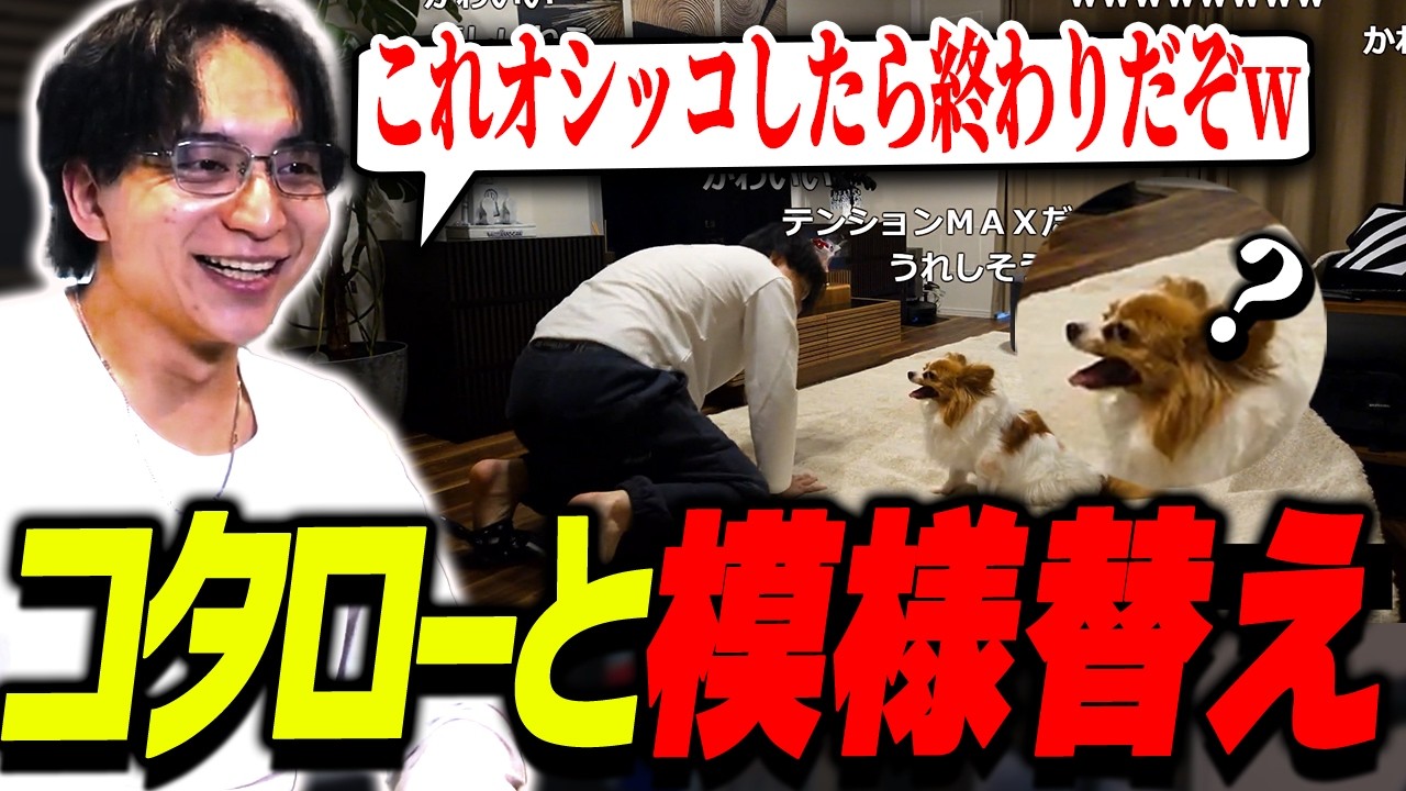 けんすけ太郎 Kenki tries to rearrange the furniture but Kotaro gets in the way