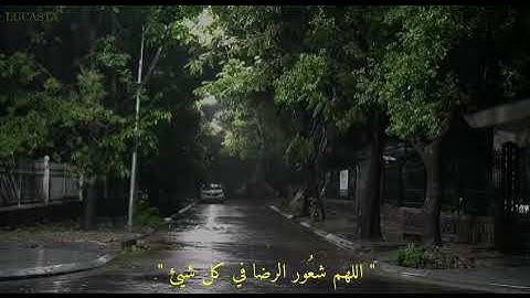 وَإِنَّ رَبَّكَ لَيَعْلَمُ مَا تُكِنُّ صُدُورُهُمْ وَمَا يُعْلِنُونَ (74) سورة النمل