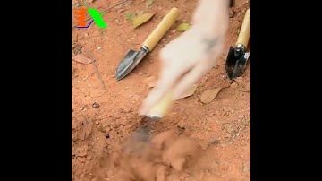 Bộ dụng cụ làm vườn 3 món cán gỗ TXE-3GO1, Bộ Xẻng 3 món, Xẻng làm vườn cán gỗ