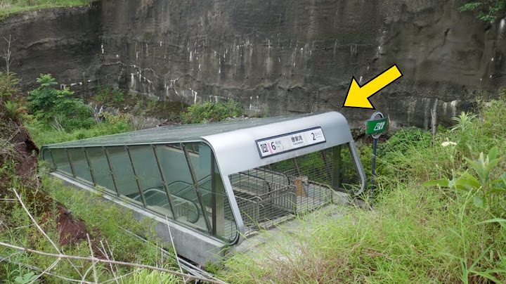 Woman Finds Metro Entrance In Forest, Then This Happens
