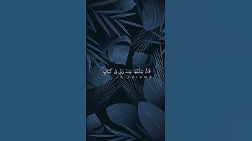 حالات واتس اب قرآن كريم // رعد الكردي // قال ما ربكما يا موسى 🌿🕊️