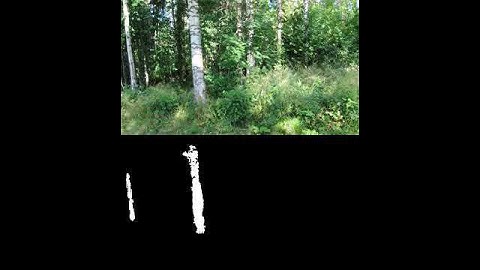 Trunk Identification System, Robotics in Forest Industry