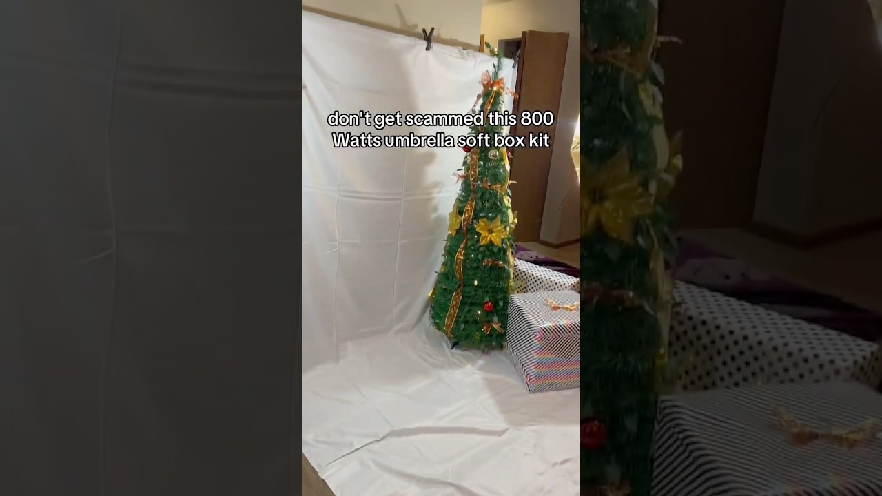 800W 5500K Umbrellas Softbox Continuous Lighting Kit with Backdrop Support System for Photo 