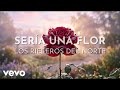 Los Rieleros Del Norte - Sería Una Flor (Visualizer)