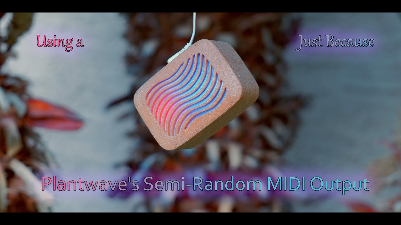 Using a Plantwave's Semi-Random MIDI Output Just Because - YouTube