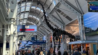 There’s a dinosaur in the airport😱