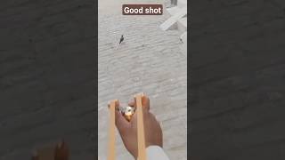 Slingshot Huntinghow To Hunt Birdsbirds Hunting Technique