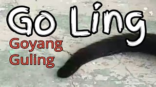 Goyang Guling