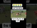 यह वीडियो है जो बहुत कुछ सिखा गया #shortvideo #animals #virlshort #officalvideo