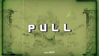 HU BISS - PULL