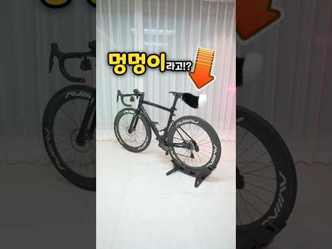 로드 자전거에  결국 꼬리 설치 완료....🤣 멍멍이 #퍼피 #강아지 #로드바이크 #로드자전거 #전기자전거 #산악자전거 #개 thumbnail