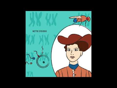 Nettie Stevens