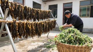 荠菜经三蒸三晒，化作乌黑醇香的梅干菜，成就农家至味。 Traditional Triple-Step Method Creates Fragrant Preserved Vegetable.
